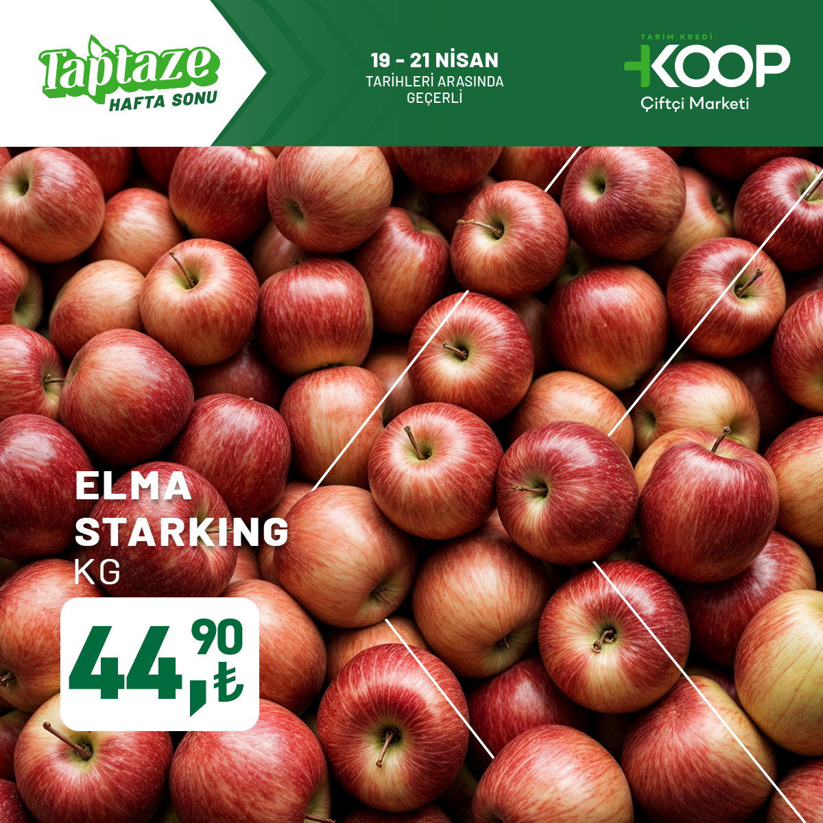 Tarım Kredi Kooperatif Market 19 Nisan 2025 Kataloğu